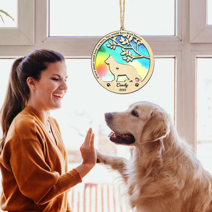 Pet Memorial Suncatcher | Pet Suncatcher | RayArt®️